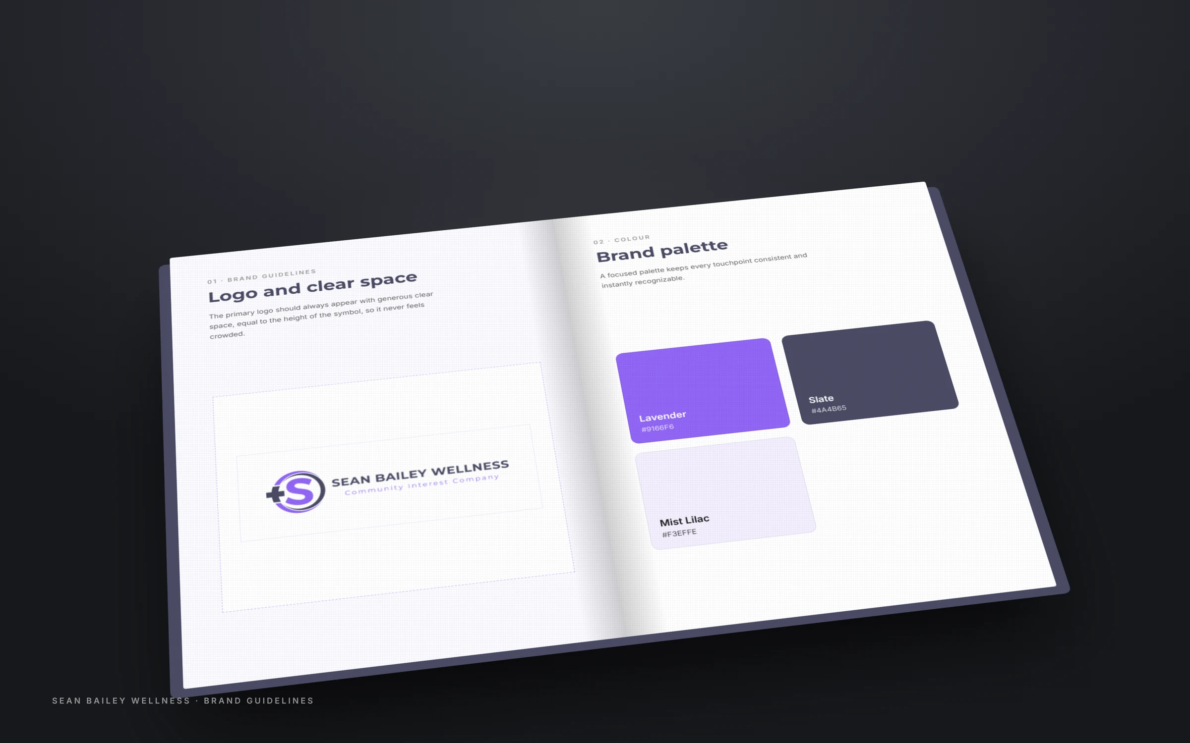 Brand guidelines book for Sean Bailey Wellness showing cover and colour palette